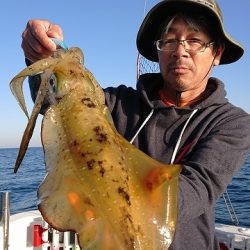 フィッシングボートACE(エース) 釣果