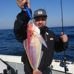 ブルーピア 釣果