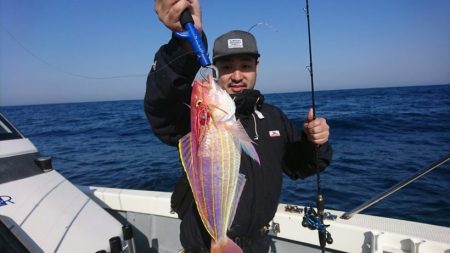 ブルーピア 釣果