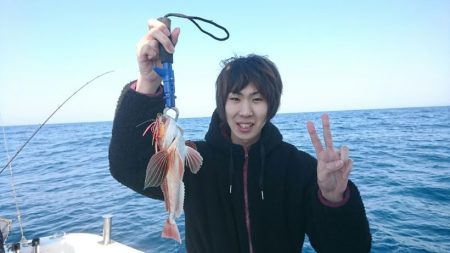 ブルーピア 釣果