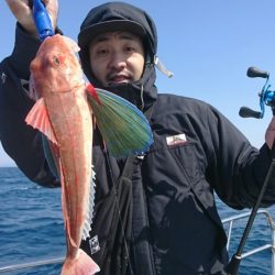 ブルーピア 釣果