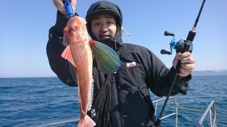 ブルーピア 釣果