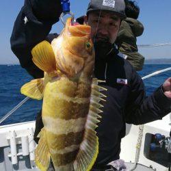 ブルーピア 釣果