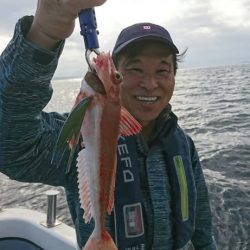 ブルーピア 釣果