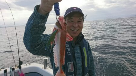 ブルーピア 釣果