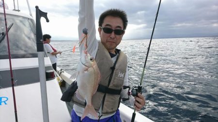 ブルーピア 釣果