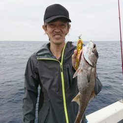 ブルーピア 釣果
