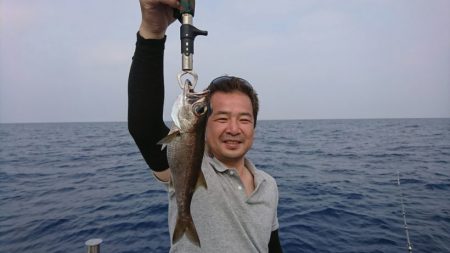 ブルーピア 釣果