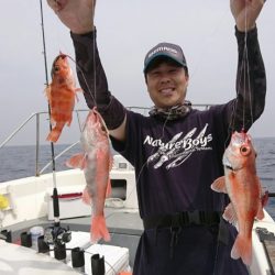 ブルーピア 釣果