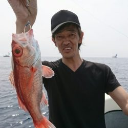 ブルーピア 釣果