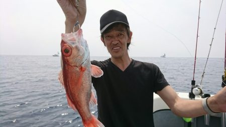 ブルーピア 釣果