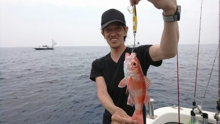 ブルーピア 釣果