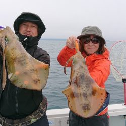 フィッシングボートACE(エース) 釣果