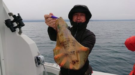 フィッシングボートACE(エース) 釣果