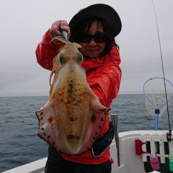 フィッシングボートACE(エース) 釣果