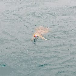 フィッシングボートACE(エース) 釣果