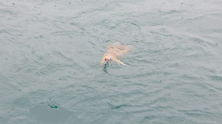 フィッシングボートACE(エース) 釣果