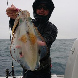 フィッシングボートACE(エース) 釣果