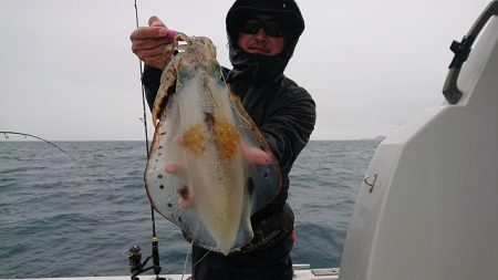 フィッシングボートACE(エース) 釣果