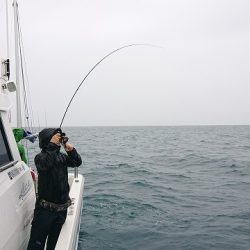 フィッシングボートACE(エース) 釣果