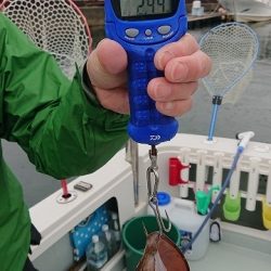 フィッシングボートACE(エース) 釣果