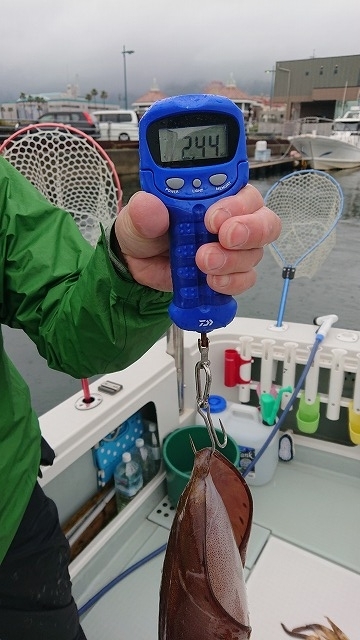 フィッシングボートACE(エース) 釣果