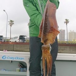 フィッシングボートACE(エース) 釣果