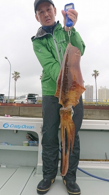 フィッシングボートACE(エース) 釣果