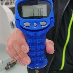 フィッシングボートACE(エース) 釣果