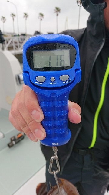 フィッシングボートACE(エース) 釣果