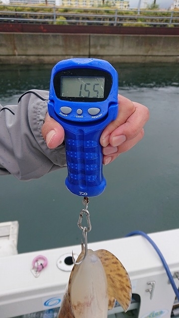 フィッシングボートACE(エース) 釣果