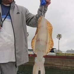 フィッシングボートACE(エース) 釣果