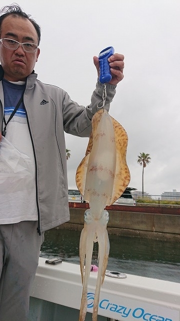 フィッシングボートACE(エース) 釣果