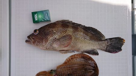 フィッシングボートACE（エース） 釣果