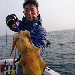 フィッシングボートACE(エース) 釣果