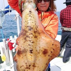 フィッシングボートACE(エース) 釣果