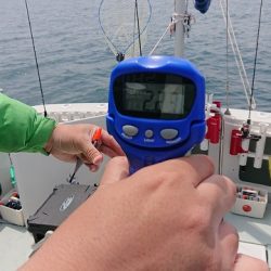 フィッシングボートACE(エース) 釣果