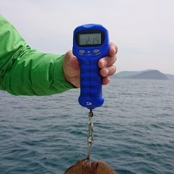 フィッシングボートACE(エース) 釣果