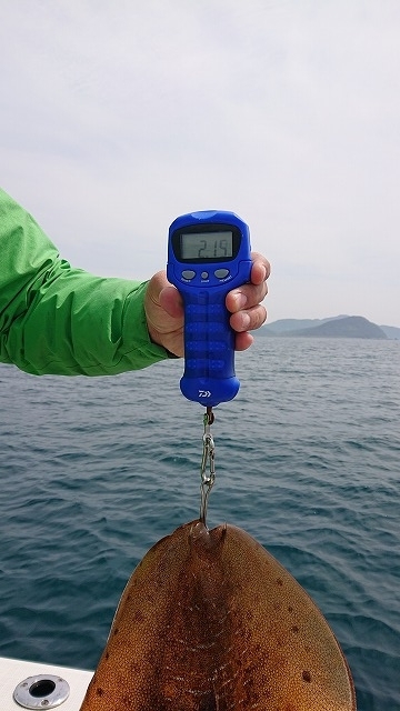 フィッシングボートACE(エース) 釣果