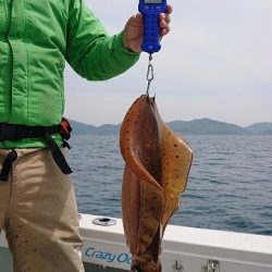 フィッシングボートACE(エース) 釣果