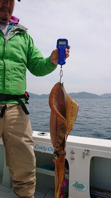 フィッシングボートACE(エース) 釣果