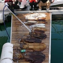 フィッシングボートACE(エース) 釣果