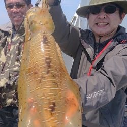 フィッシングボートACE(エース) 釣果