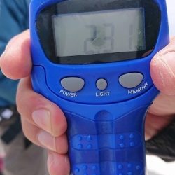 フィッシングボートACE(エース) 釣果