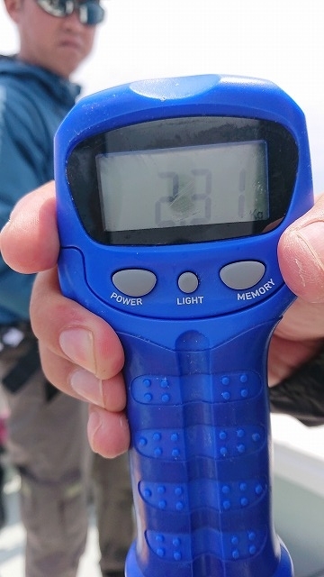 フィッシングボートACE(エース) 釣果