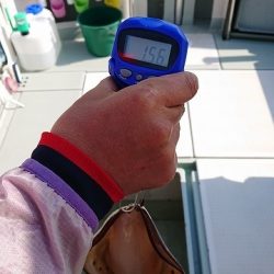 フィッシングボートACE(エース) 釣果