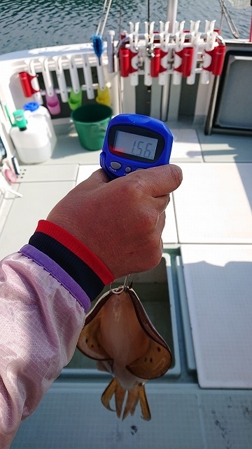 フィッシングボートACE(エース) 釣果