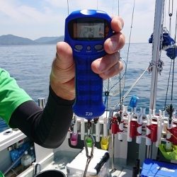 フィッシングボートACE（エース） 釣果