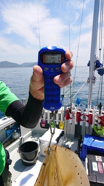 フィッシングボートACE（エース） 釣果