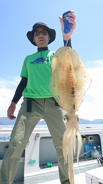 フィッシングボートACE（エース） 釣果